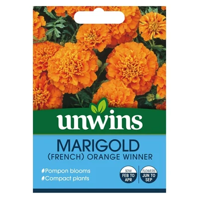 Marigold French Orange Winner