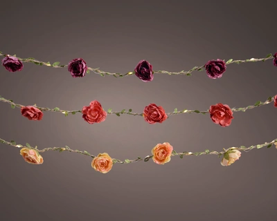 Micro Led Stringlights Rose Garland Bo Indoor Ww - image 2