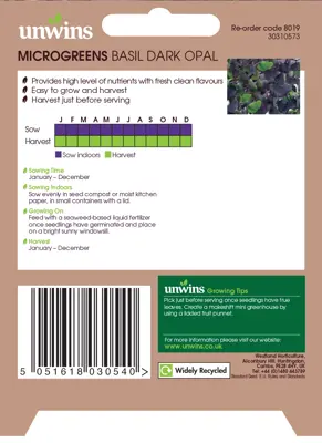 MicroGreens Basil Dark Opal - image 2