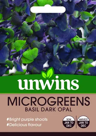 MicroGreens Basil Dark Opal - image 1