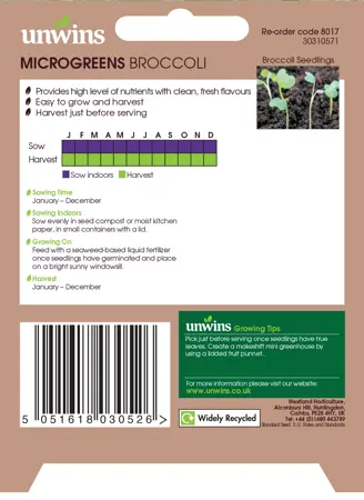 MicroGreens Broccoli - image 2