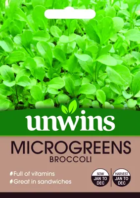 MicroGreens Broccoli - image 1