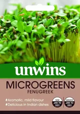 MicroGreens Fenugreek