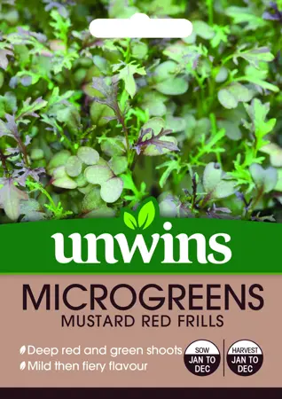 MicroGreens Mustard Red Frills - image 1
