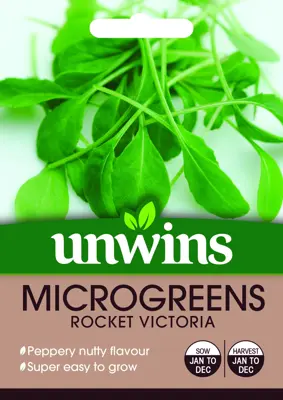 MicroGreens Rocket Victoria - image 2