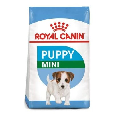 Mini Puppy 2kg