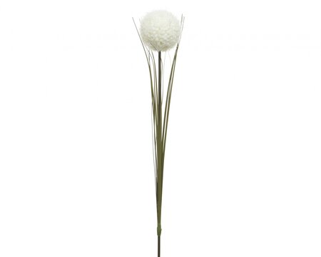 ML Silk Allium O Stem W Frost Fin White Dia7X66Cm