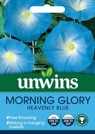 Morning Glory Heavenly Blue - image 1