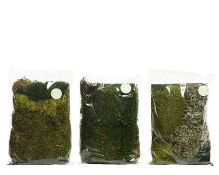 Moss Natural Green - image 1