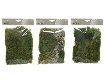 Moss Preserved 3Ass Green 4X18X22Cm