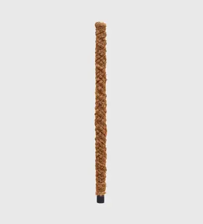 Mosspole  50 CM - image 1