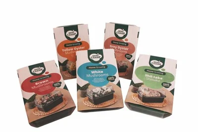Mushrooms Combi Kits