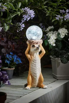 Mystik Meerkat - image 1