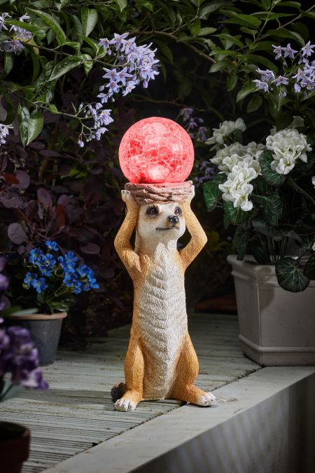 Mystik Meerkat - image 2