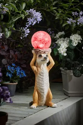 Mystik Meerkat - image 2