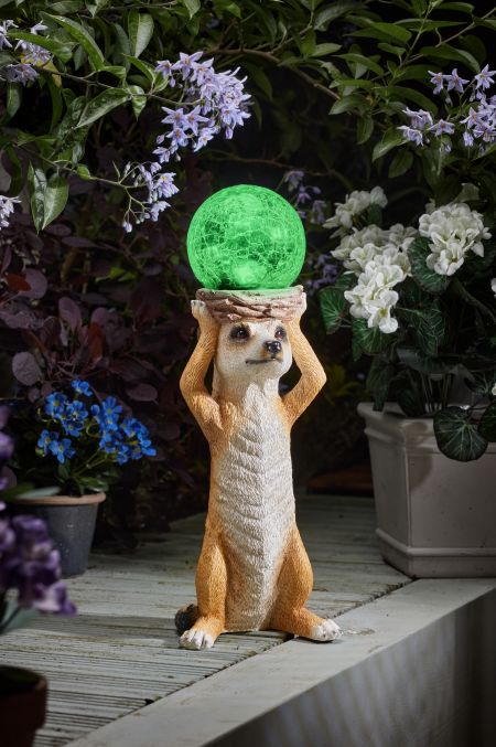 Mystik Meerkat - image 3