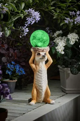 Mystik Meerkat - image 3