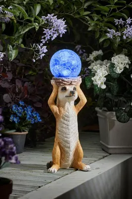 Mystik Meerkat - image 4