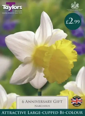 Narcissi Anniversary Gift 12-14 P/P