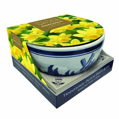 Narcissi Tete A Tete Delft Bowl
