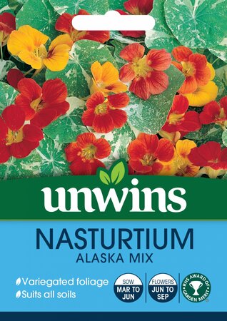 Nasturtium Alaska Mix - image 1