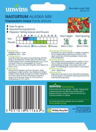 Nasturtium Alaska Mix - image 2