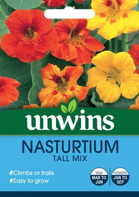 Nasturtium Tall Mix - image 1