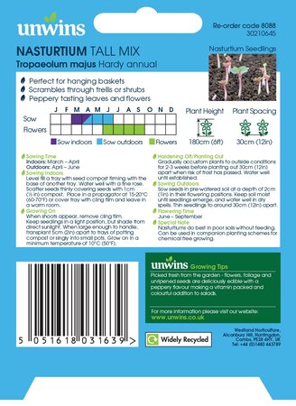 Nasturtium Tall Mix - image 2