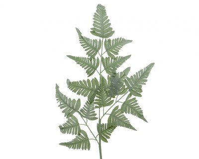 NG Plc Fern Spray White 38X116Cm
