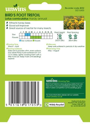 NH Birdsfoot Trefoil - image 2