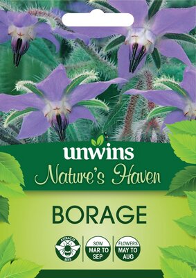 NH Borage - image 1