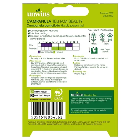 NH Campanula Telham Beauty - image 2