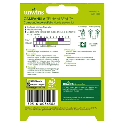 NH Campanula Telham Beauty - image 2