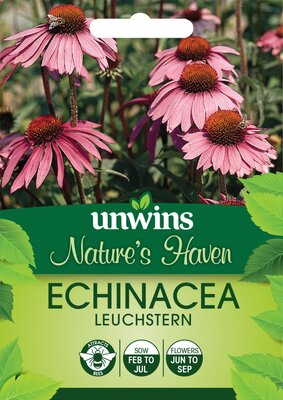 NH Echinacea Leuchstern - image 1