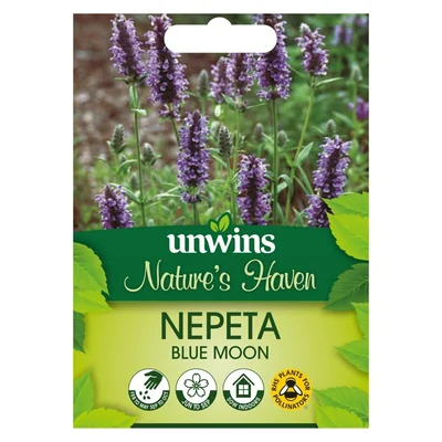NH Nepeta Blue Moon