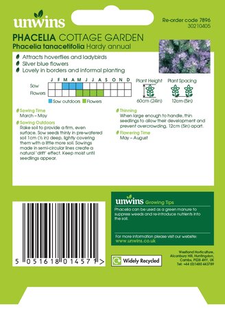 NH Phacelia Cottage Garden - image 2