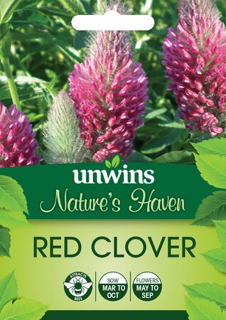 NH Red Clover - image 1