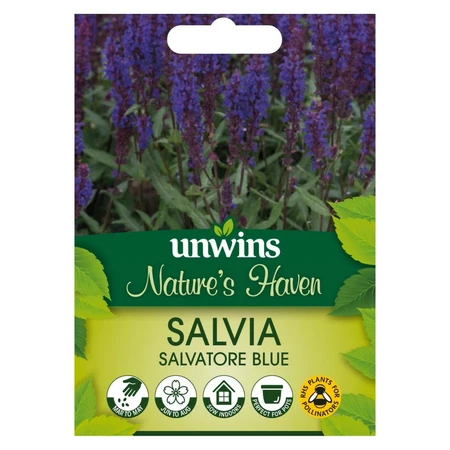 NH Salvia Salvatore Blue