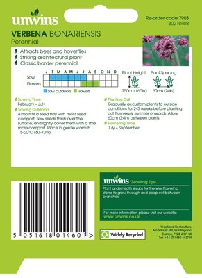 NH Verbena Bonariensis - image 2