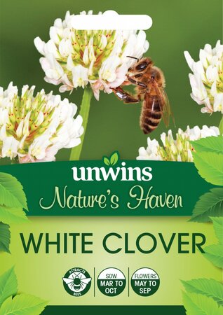NH White Clover - image 1