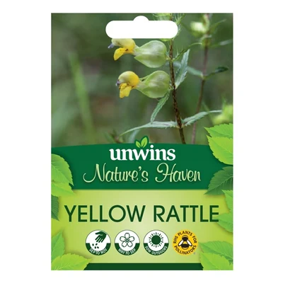 NH Yellow Rattlenatures Haven Flower