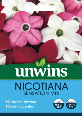 Nicotiana Sensation Mix - image 1