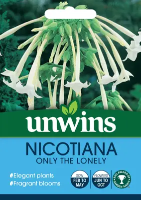 Nicotiana Sylvestris Only The Lonely - image 2