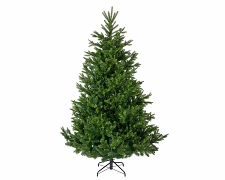 Nordmann Fir 10ft / 300cm