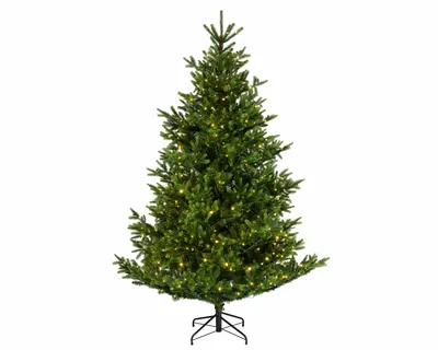 Nordmann Fir Pre-Lit 7ft / 210cm 900 Micro LED Lights