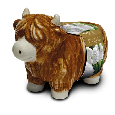 Novelty Highland Cow Planter