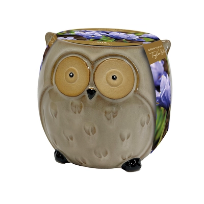 Novelty Owl Planter