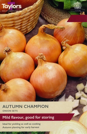 Onion Autumn Champion 14-21