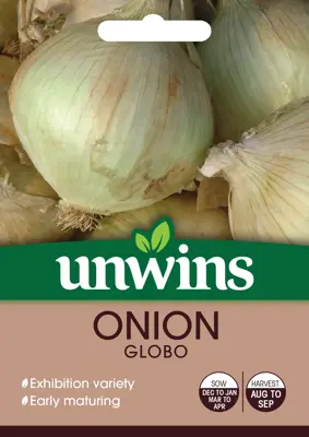 Onion Globo - image 2