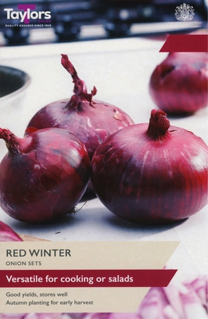 Onion Red Winter 14-21